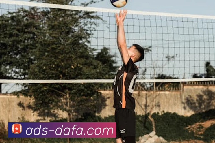 大发彩票APP 封面图